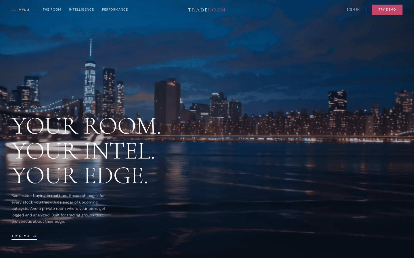 TradeRoom website hero — example of a premium build by True Meridian AI